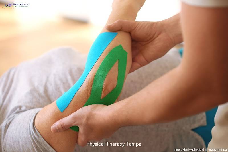 PT Solutions of Race Track Road (formerly Westchase Physical Therapy)